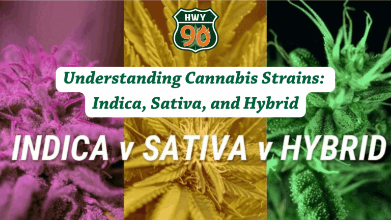 beginners cannabis strain guide: indica, sativa and hybrid. available now at highway 90 dispensary