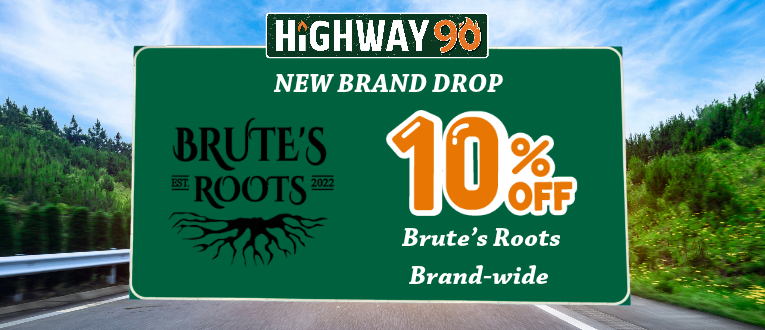 Highway 90 image