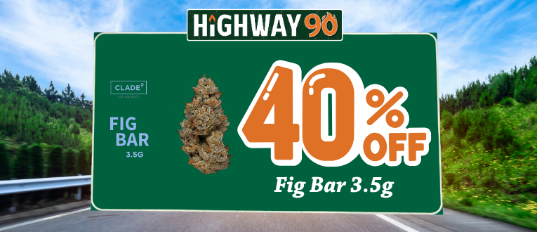 Highway 90 image