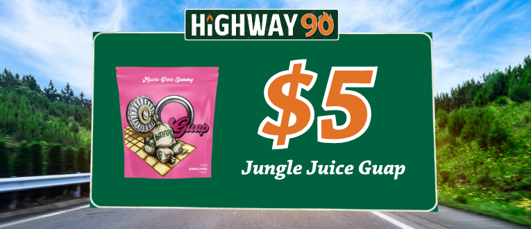 Highway 90 image
