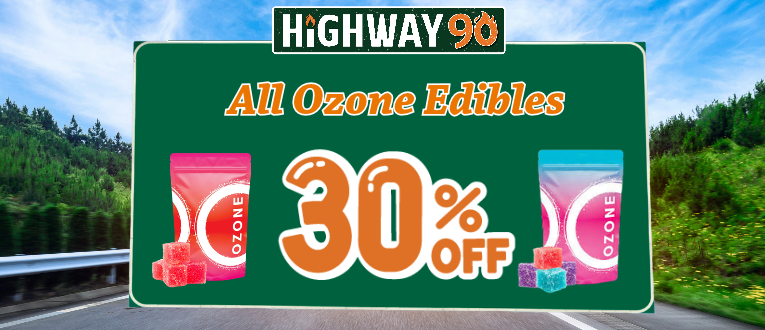 Highway 90 image