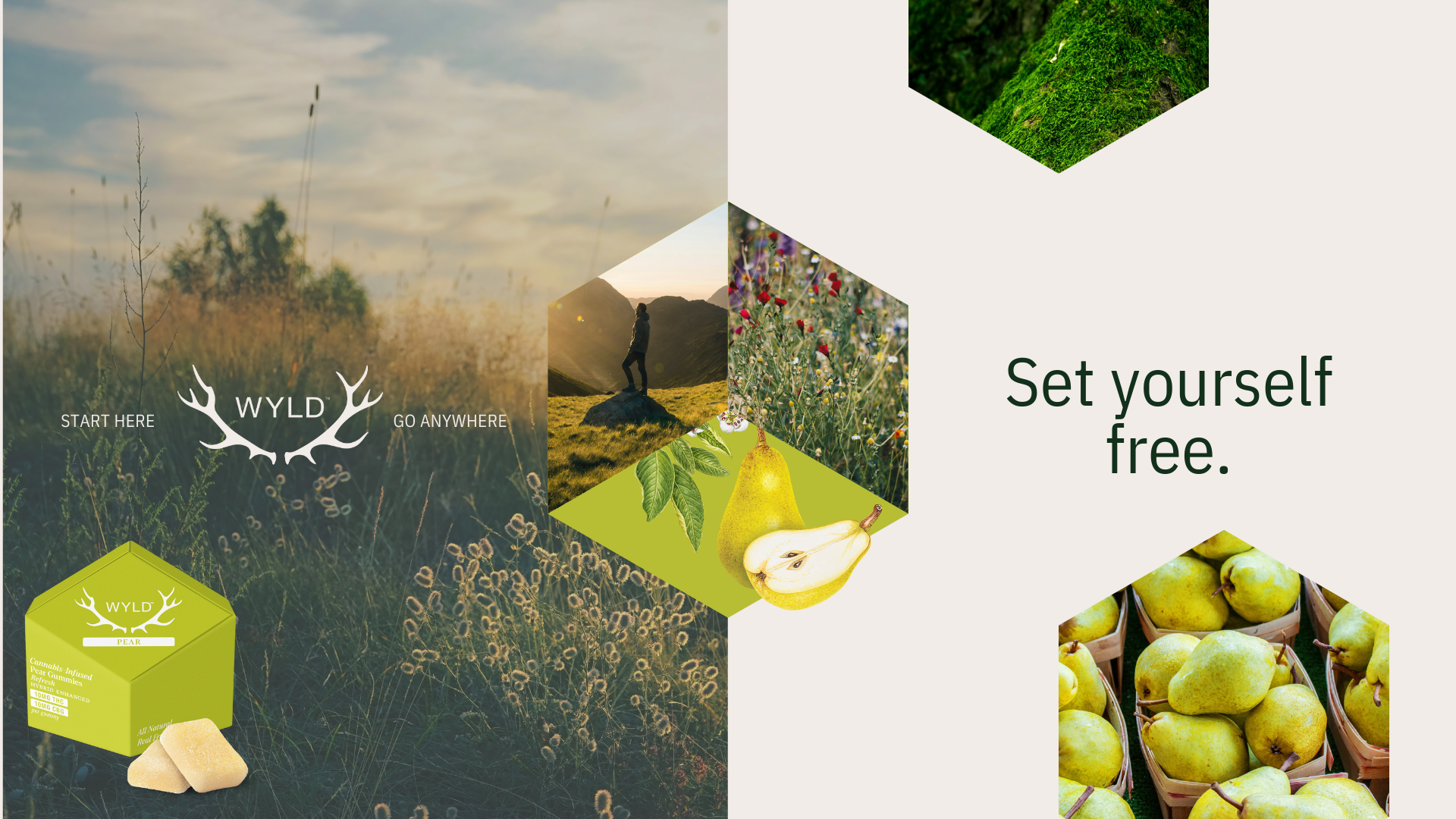 wyld cannabis edibles